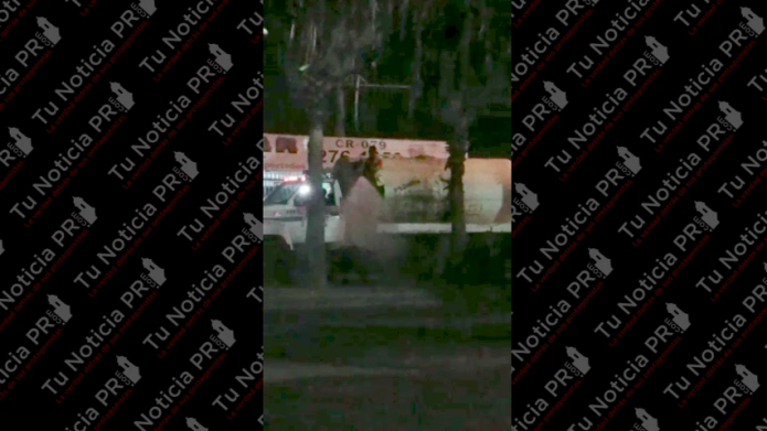 Video: Municipio de Carolina desperdicia agua regando las plantas