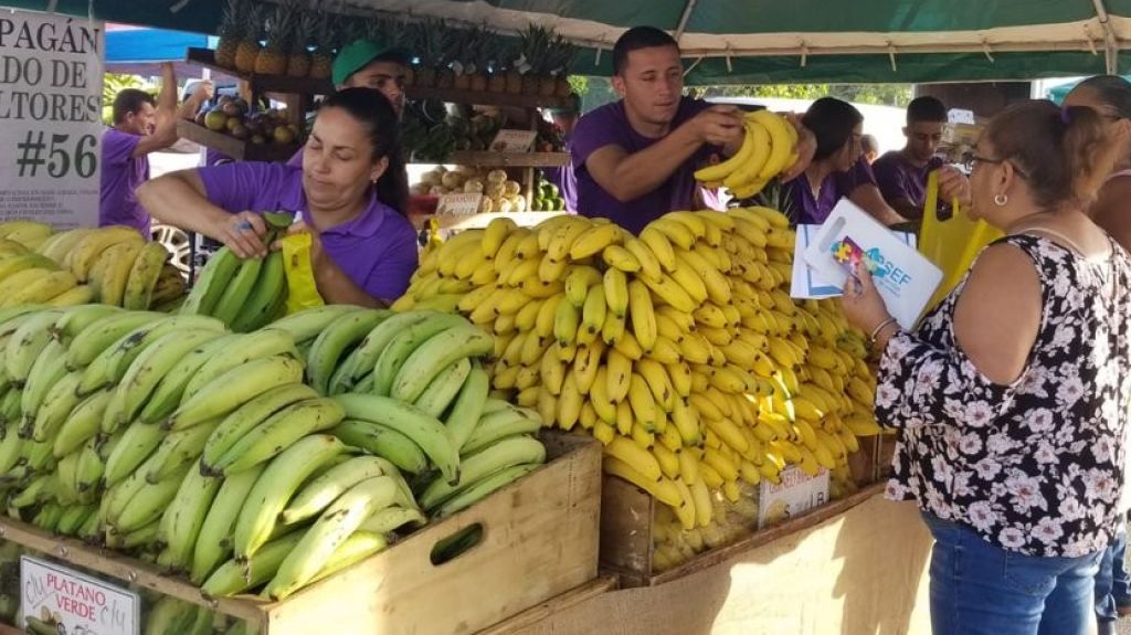  Inician recertificaci&oacute;n de agricultores para el reinicio de los Mercados Familiares 