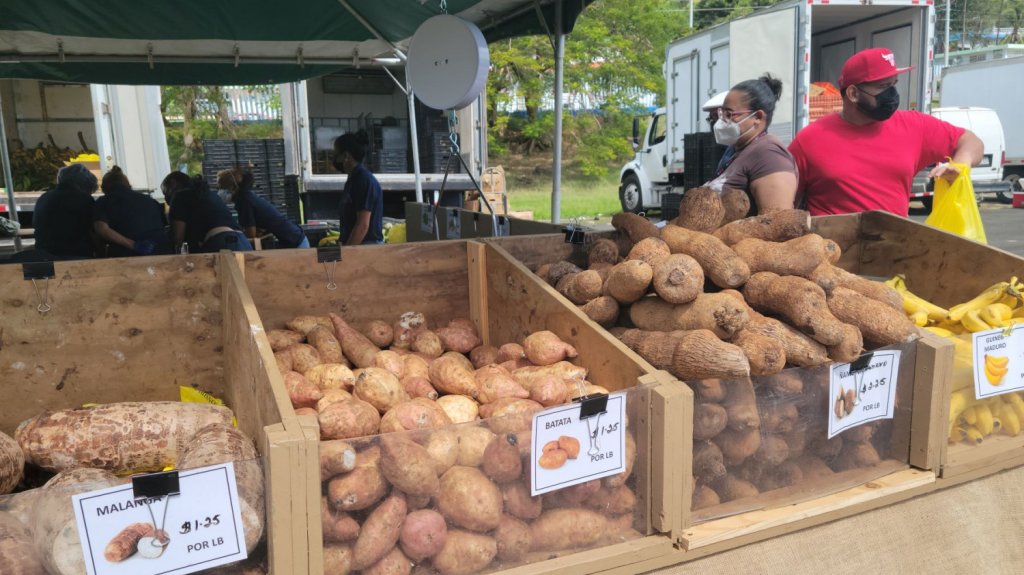  Fajardo reactiva su mercado familiar despu&eacute;s de casi un a&ntilde;o por culpa de la pandemia 