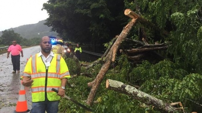 Cierran expreso 52 de Cayey a Caguas por la caÃ­da de un Ã¡rbol