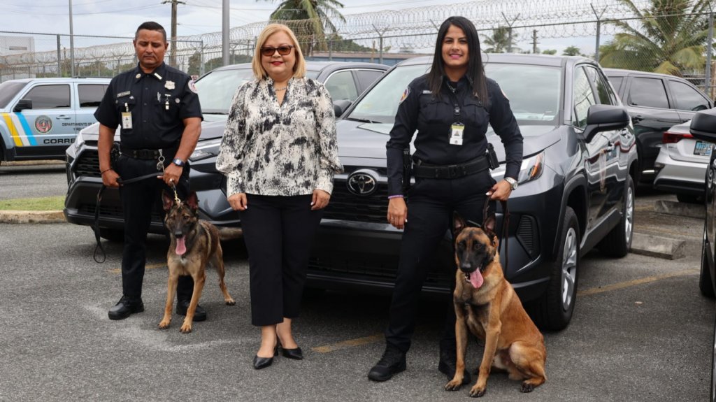  DCR fortalece su capacidad de detección de contrabando con la entrega de 12 canes a la Unidad Canina 