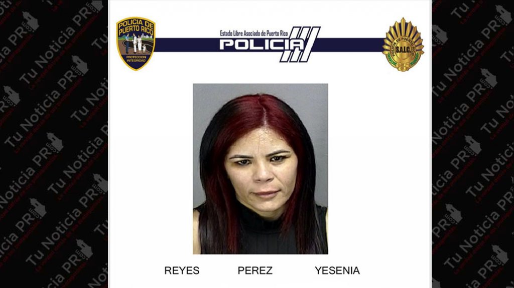  Arrestan en Bayam&oacute;n a mujer buscada por escalamiento 