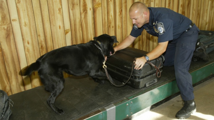 Incautan caja que llegÃ³ a Miami con heroÃ­na en cartuchos de toner