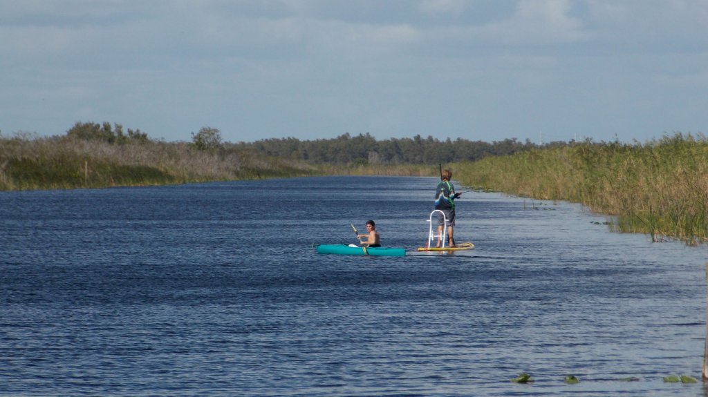  Florida elimina 5.000 pitones birmanas de la reserva de los Everglades 
