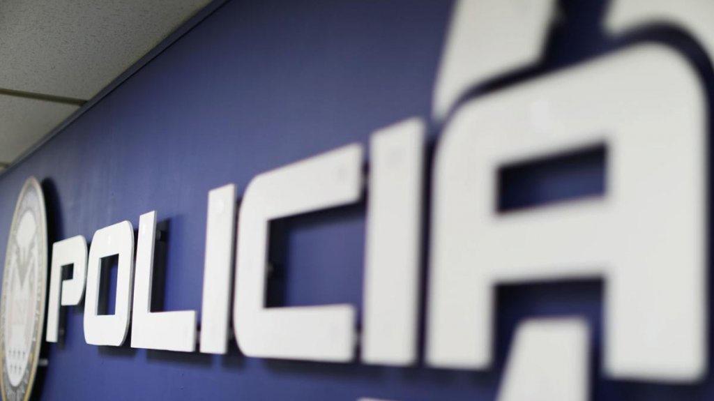  Se llevan dos tortugas de residencia en Cupey 