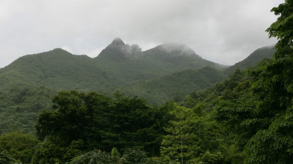  "El Yunque" se prepara para temporada alta de visitas 