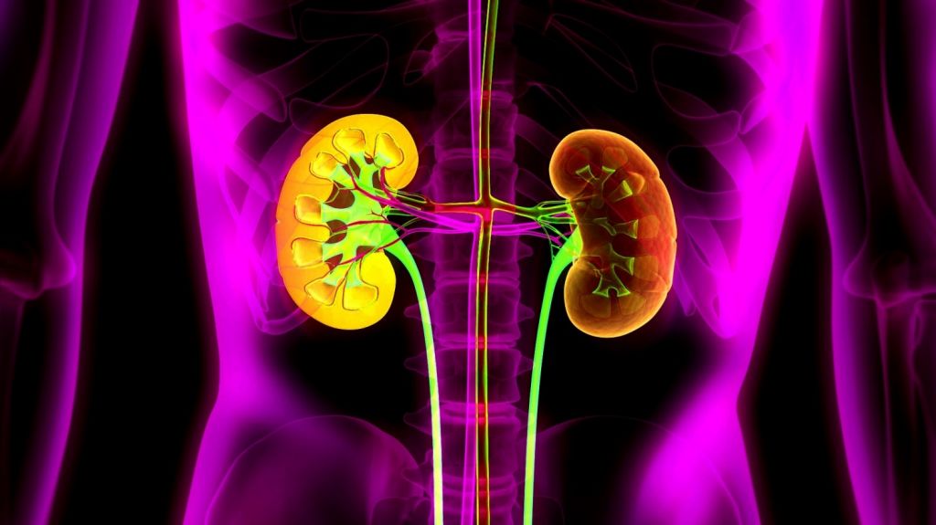 Enfermedad renal es una epidemia emergente en la Isla