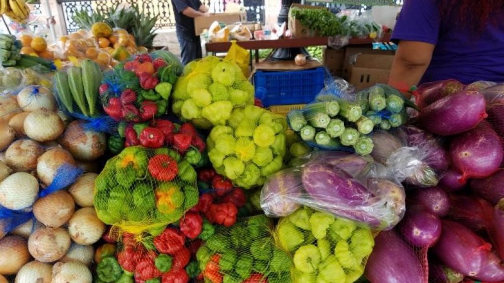  Subvenciones de hasta 20 mil d&oacute;lares para agricultores y pescadores 