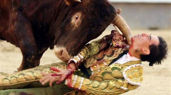 Sufre torero español grave cornada en el cuello
