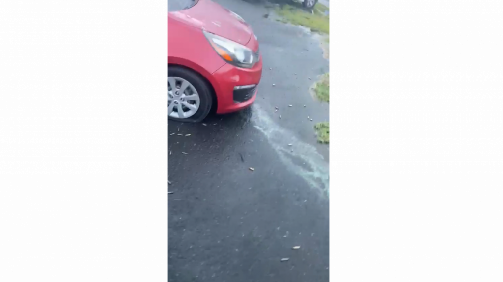  Ciudadano publica video del hombre asesinado a tiros dentro de un auto esta noche en Luquillo 