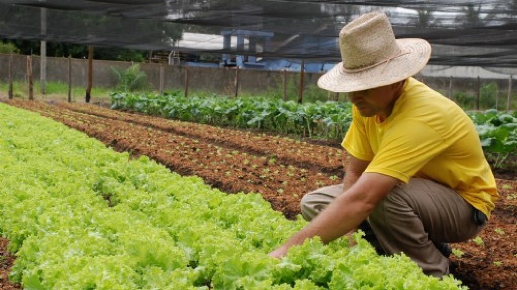  Agricultura federal ofrece pr&eacute;stamos y subvenciones para apoyar a las microempresas en zonas rurales. 