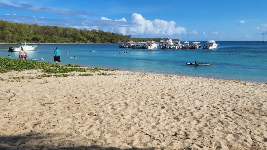  Protestan viequenses por el anclaje de unos 70 botes en el área de anidaje en la playa del balneario de Sun Bay 