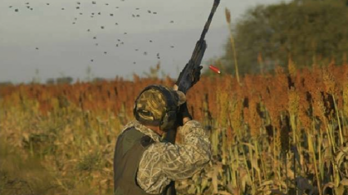 Poseedores de Licencia de Armas solicitan a Recursos Naturales que se restablezca la temporada de caza