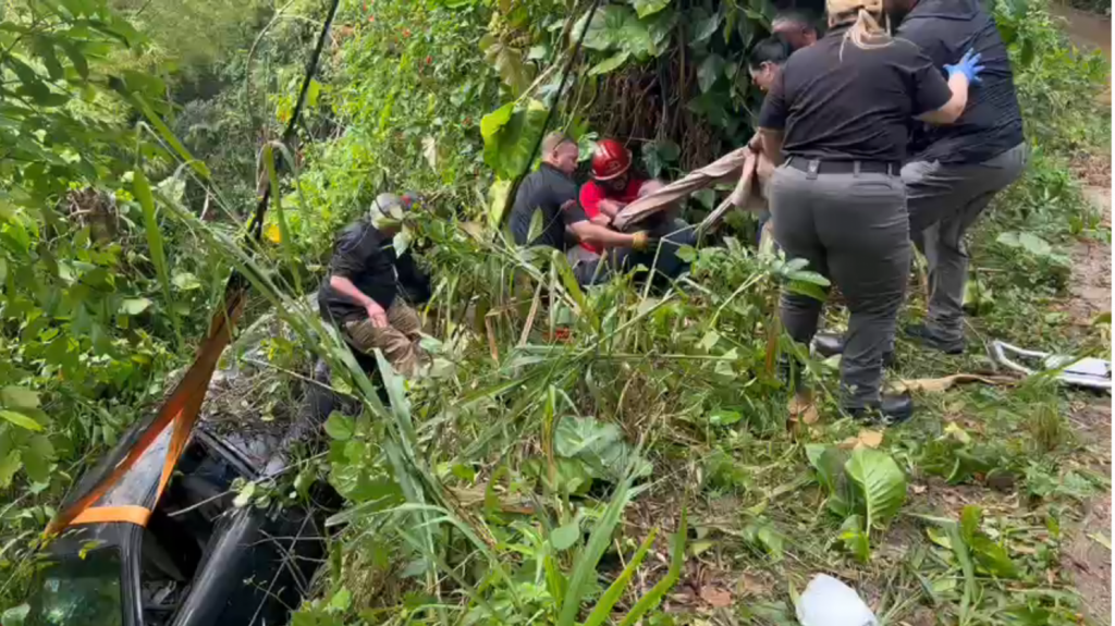  Video: Momento en que rescatan a conductor de 70 a&ntilde;os que cay&oacute; por un precipicio en Cayey 