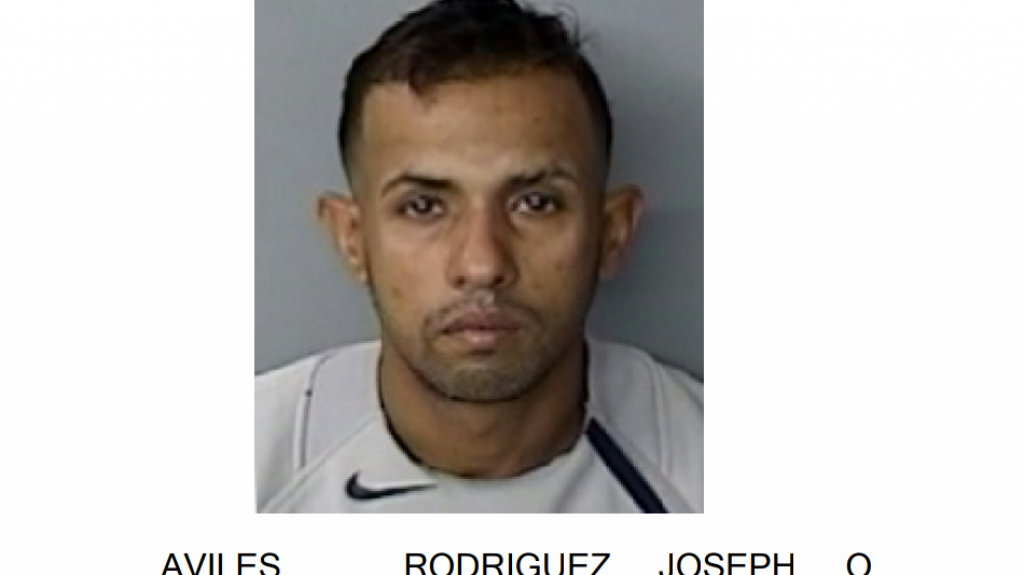  Arrestan policía estatal por violencia domestica en Isabela 