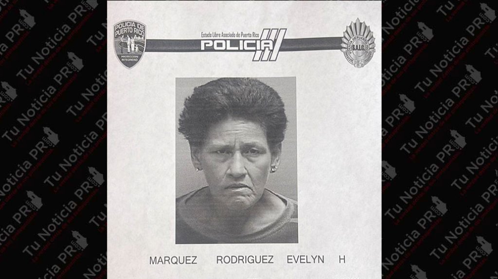  Arrestan a &ldquo;Do&ntilde;ita&rdquo; que se pasaba robando en Home Depot de Ponce 