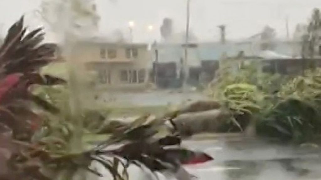 Municipio continuarÃ¡ en enero con intenso plan de recogido de material vegetativo en Caguas