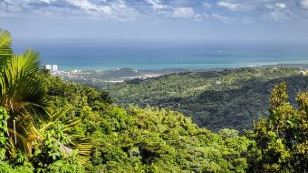  Reabren parcialmente áreas recreativas de El Yunque 