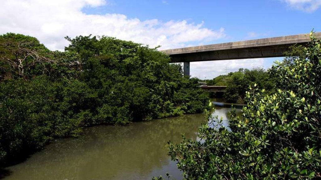  Enmiendan ley federal para aumentar los costos autorizados para el dragado del ca&ntilde;o Mart&iacute;n Pe&ntilde;a 