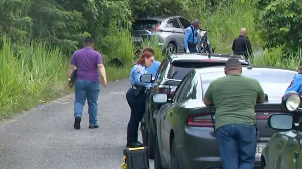  Video de la escena en Fajardo donde dos “Chamaquitos” de 17 y 13 años se estrellaron contra un carro 