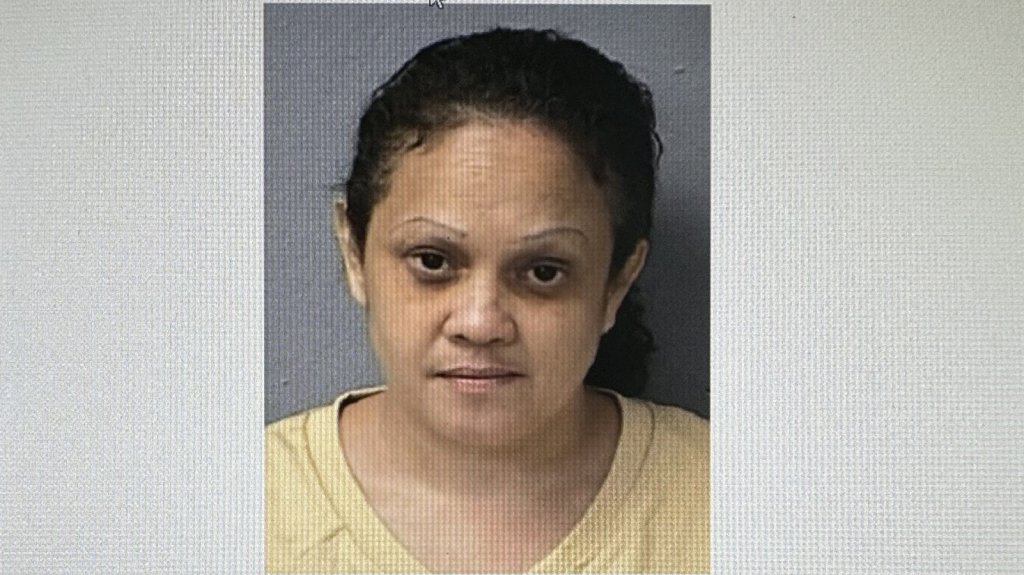  A la cárcel mujer que dejó a su hija dentro del auto en Centro Comercial de Manatí 