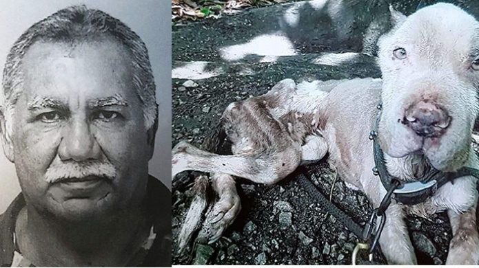 Bajo fianza hombre que maltrato a un perro y casi muere de hambre en Humacao 