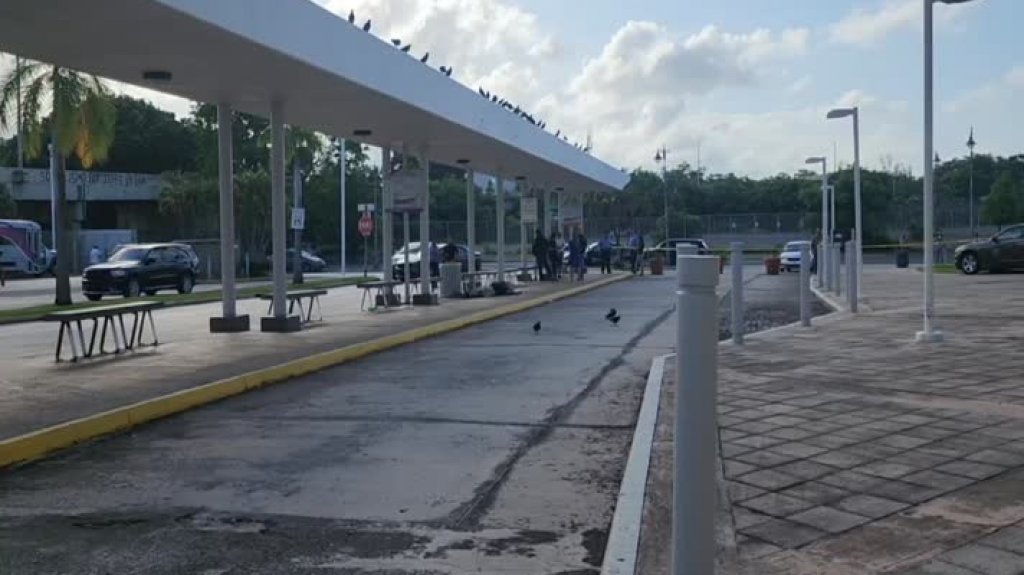  Video: Identifican joven asesinado ayer en el Tren urbano en Santurce 