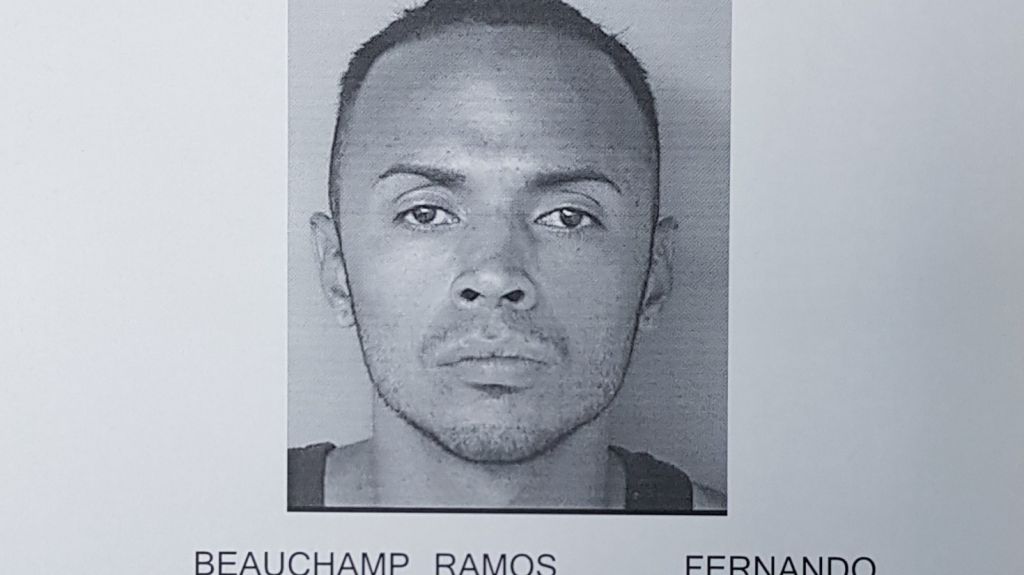  Cargos contra joven por posesi&oacute;n y distribuci&oacute;n de sustancias controladas 