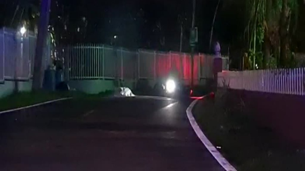  Video: Muere un conductor de motora en Cupey 