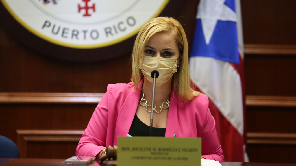  Quieren investigar protocolos de violencia de g&eacute;nero en la Polic&iacute;a 