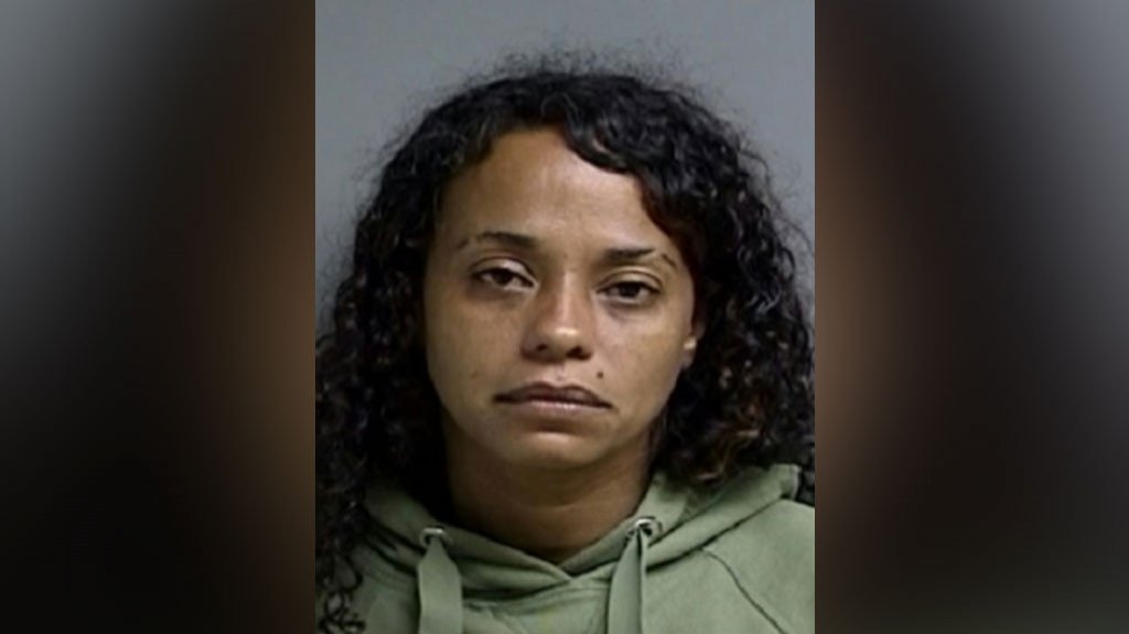  Le radican cargo a mujer que amenazo con un cuchillo a su pareja en San Lorenzo 