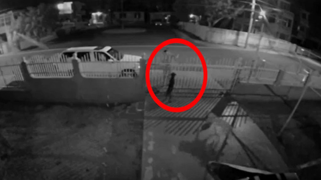  Publican video del momento en que un &ldquo;Titere&rdquo; le lanza acido a un perro en Aguadilla 