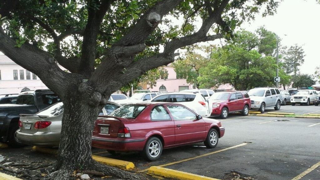  Dejan sin gomas y aros auto en estacionamiento del Viejo San Juan 