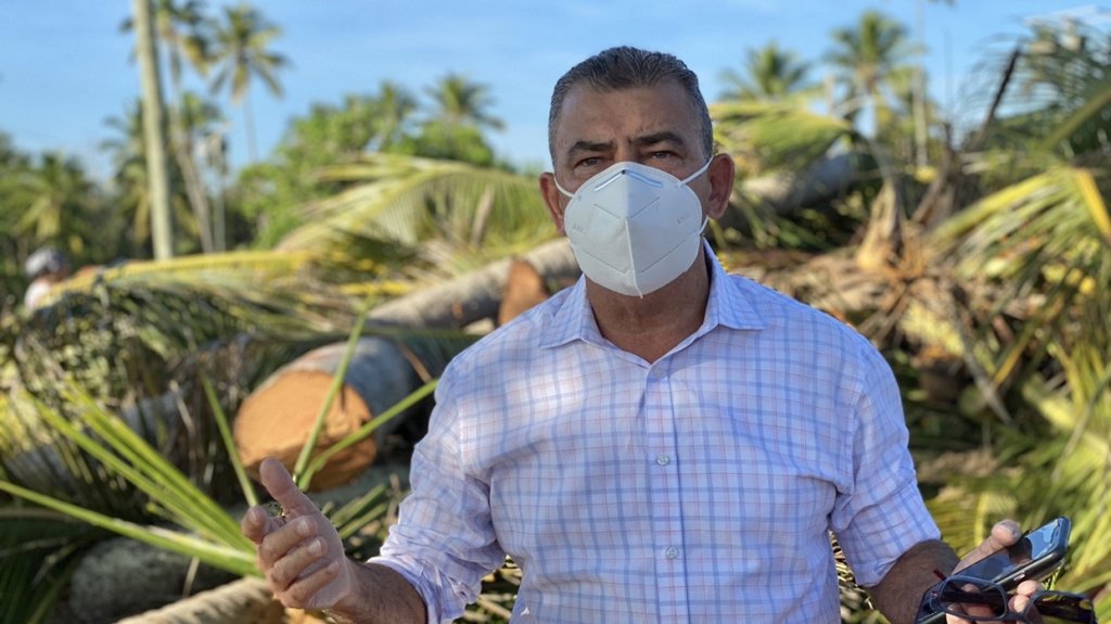  M&aacute;s de mil palmas y &aacute;rboles fueron talados por el DRD y DNRA en el balneario de Cerro Gordo de Vega Alta 