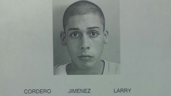 A la cÃ¡rcel joven de 18 aÃ±os que se robaba todo lo que podÃ­a en Camuy