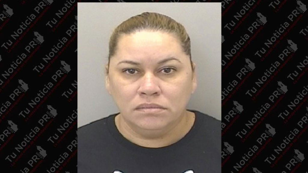  Arrestada por quitarle el teléfono a una anciana en centro comercial de San Juan 