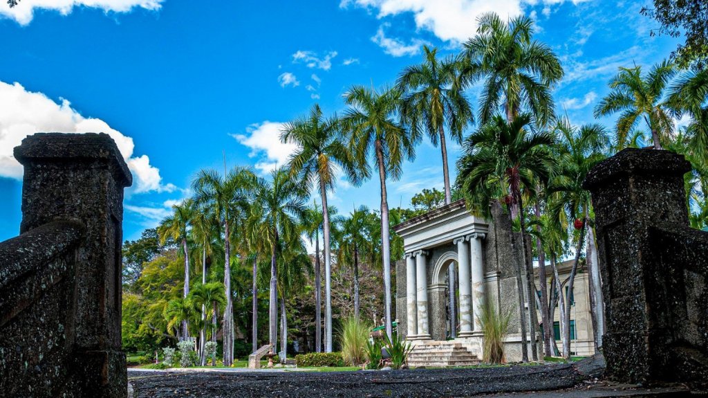 Manifestación en el RUM 