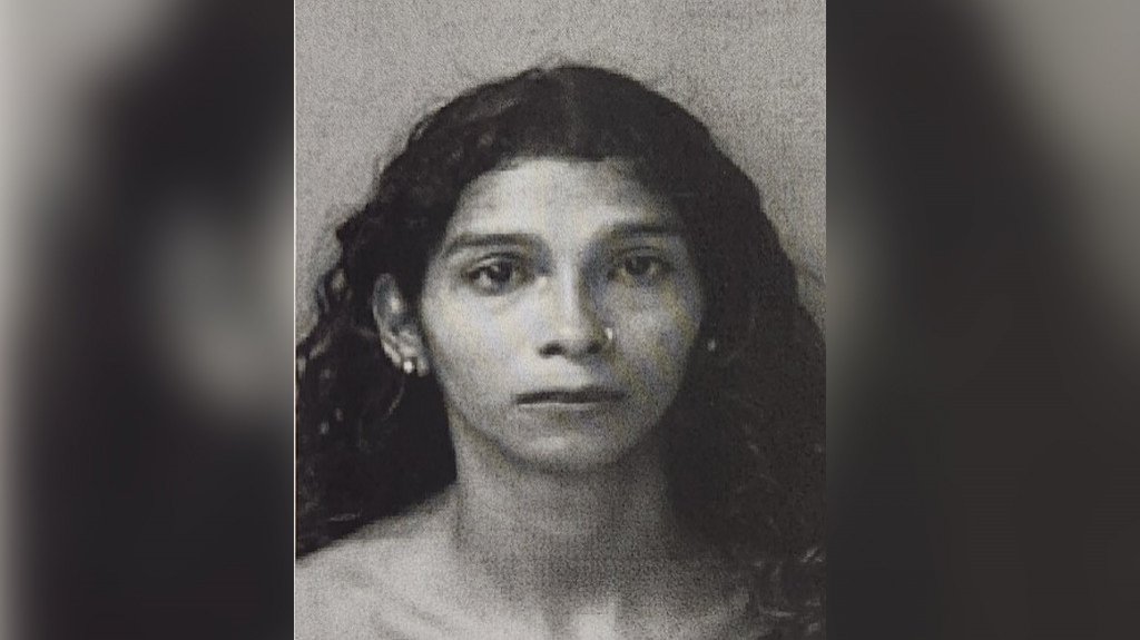  Mujer enfrenta cargos por violencia dom&eacute;stica agravada en presencia de una menor 