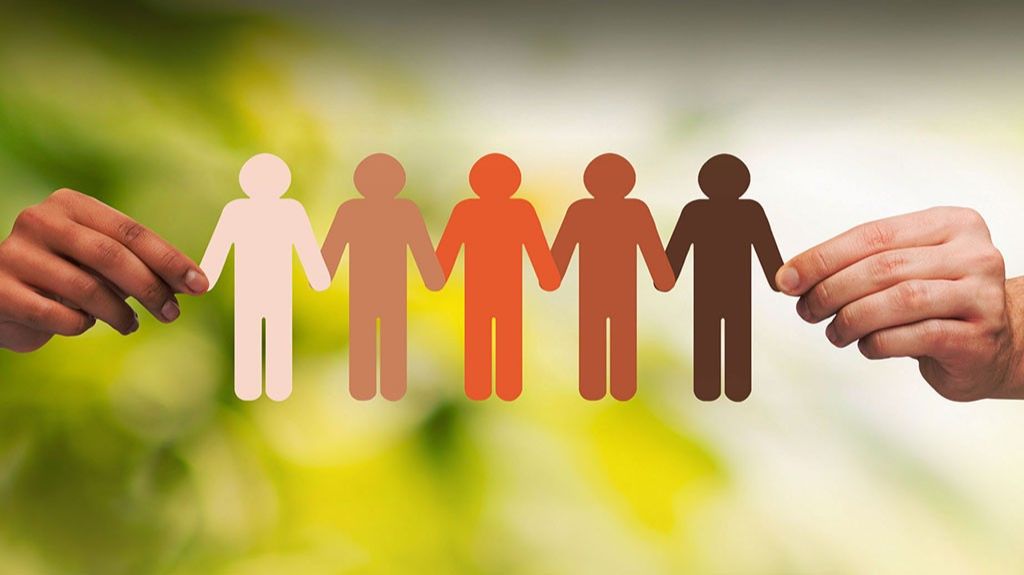  Colegio de Profesionales de Trabajo Social exige acci&oacute;n inmediata para combatir la ola criminal 