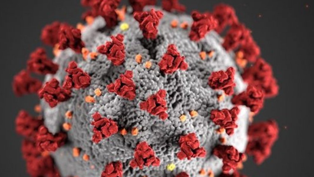  Salud reporta cuatro muertes, 73 personas hospitalizadas y 212 nuevos casos positivos en pruebas de COVID-19 