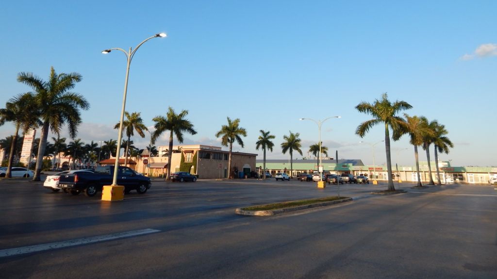  Miami inicia el "toque de queda" mientras suben a 35 los muertos en Florida 