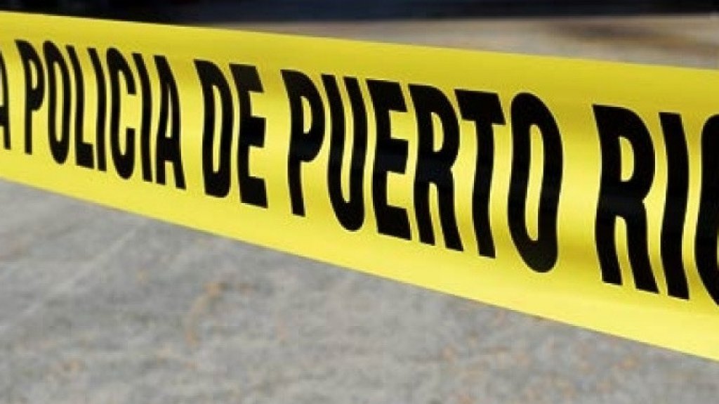  Hombre se ahorca de un &aacute;rbol de pana en Toa Alta 