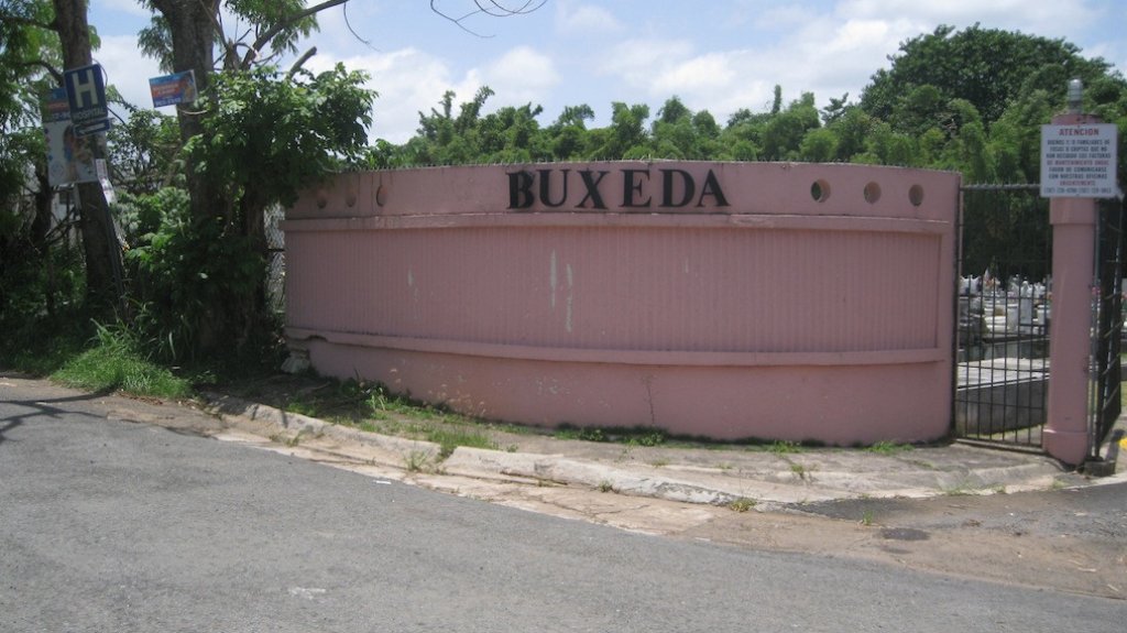  Mujer cae dentro de tumba en cementerio de Cupey 