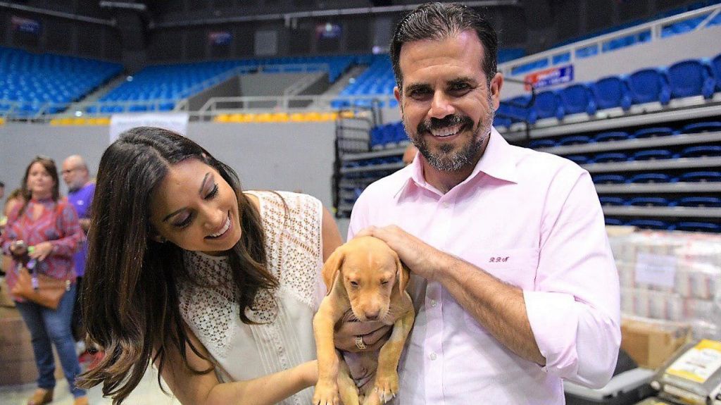  Gobernador y primera dama anuncian segunda Cumbre de Bienestar de los Animales 