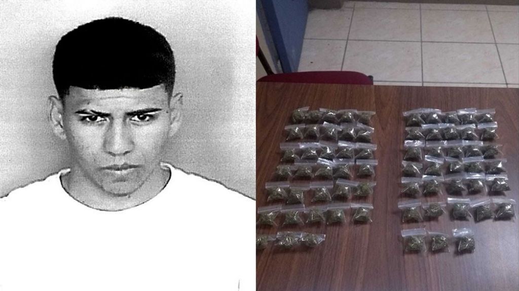  Cargadito de marihuana en Arecibo 