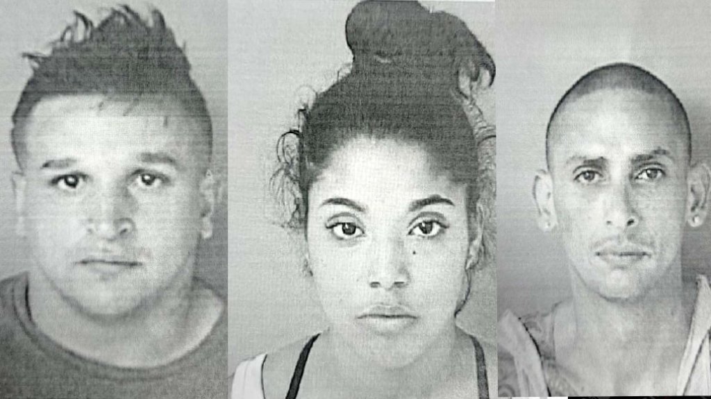  Dos robaron en Walmart y el otro Home Depot de Mayag&uuml;ez 