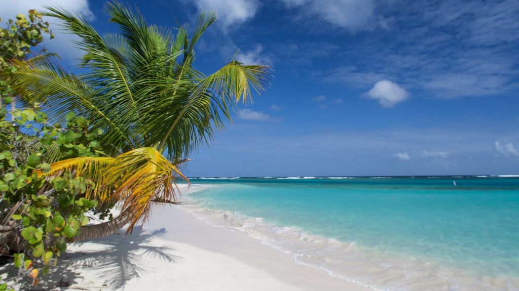  Alcalde de Culebra reclama ayuda del gobernador y de la legislatura para evitar que la JSF afecte la conservaci&oacute;n ambiental y el desarrollo econ&oacute;mico de la isla municipio 