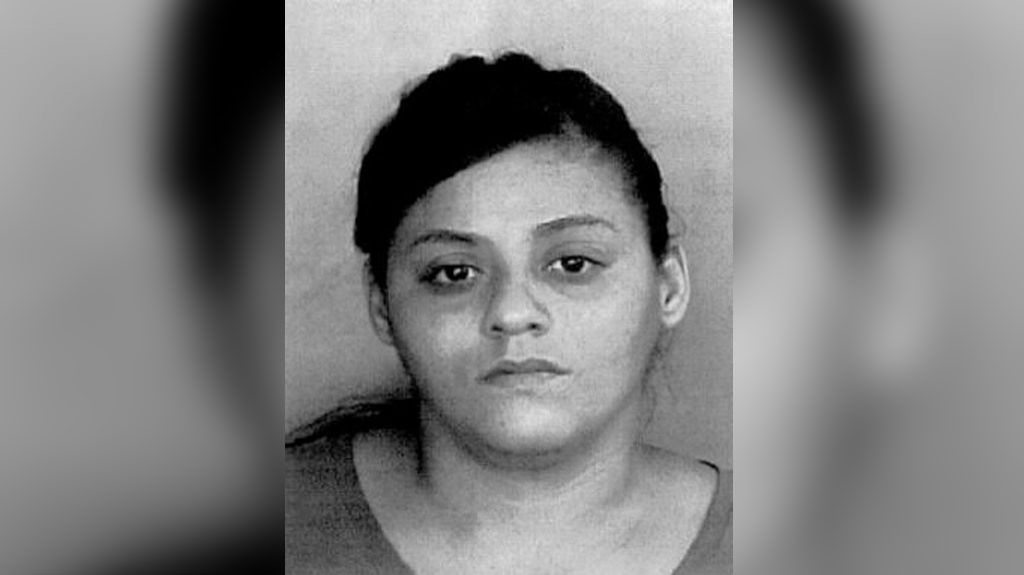  Cargos contra una mujer que rob&oacute; dos pailas de pintura y un sistema de WIFI, valorado en m&aacute;s de 600 d&oacute;lares, de tienda Home Depot 