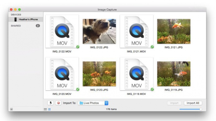 CÃ³mo convertir las Live Photos del iPhone 6S en GIFs