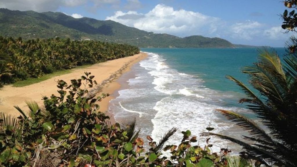  Recursos Naturales anuncia apertura de algunas &aacute;reas naturales y reservas tras devastaci&oacute;n causada por el cicl&oacute;n Mar&iacute;a 